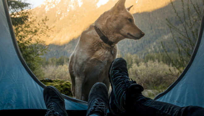 What We’re Reading, Watching, and Learning this Month