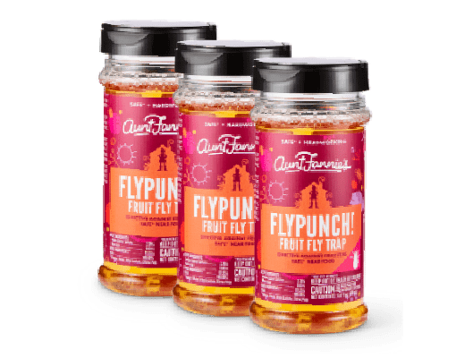 FlyPunch! Fruit Fly Trap – 3-Pack