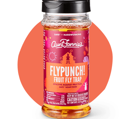 FlyPunch! Fruit Fly Trap