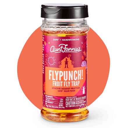 Aunt Fannie's FlyPunch! Fruit Fly Trap Refill: for Indoor and Kitchen Use,  Made with Plant Based Ingredients, 32 Fluid Ounces