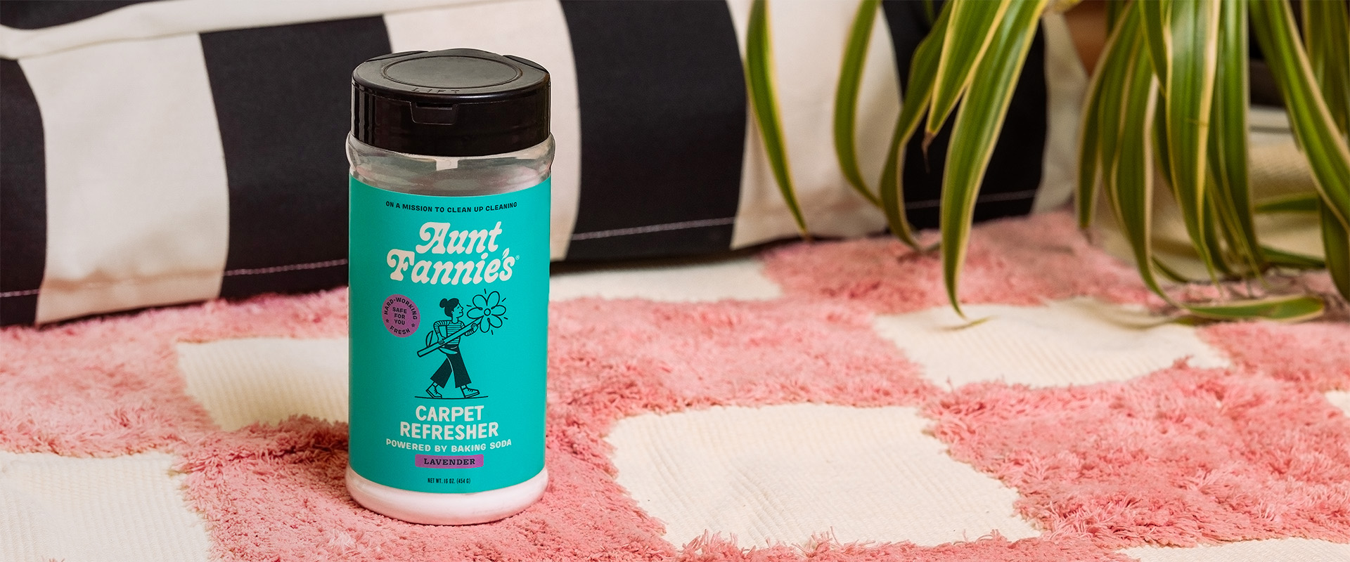 Carpet Refresher – Aunt Fannie display picture 1