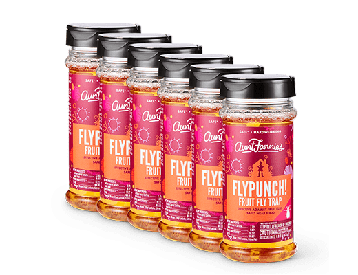 FlyPunch! Fruit Fly Trap – 6-Pack