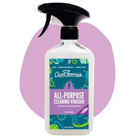 Aunt Fannie's Bundle: All-Natural Vinegar Cleaning Wipes (35 Count) +  Effective Eucalyptus Flypunch Fruit Fly Trap 