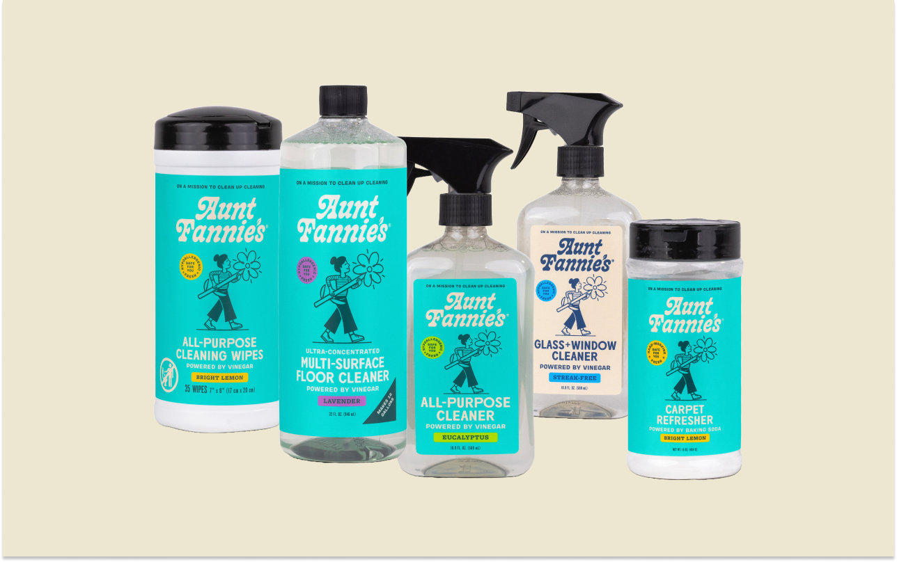 Whole Home Cleaning Bundle – Aunt Fannie's