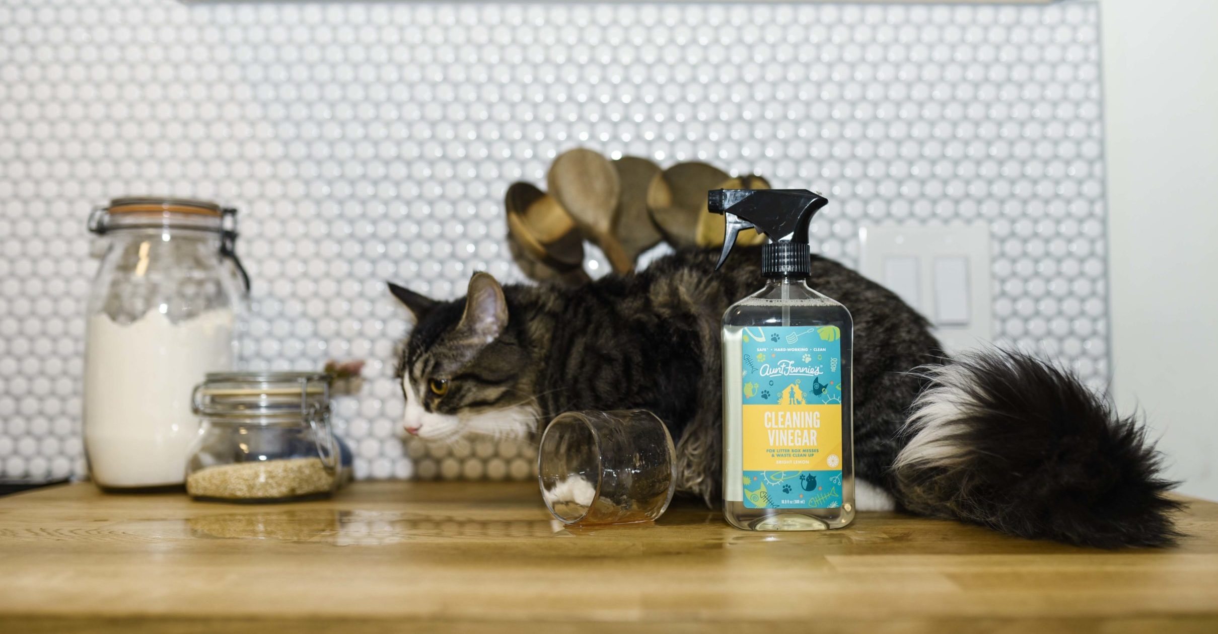 Cleaning Vinegar Spray for Cat Homes Aunt Fannie s